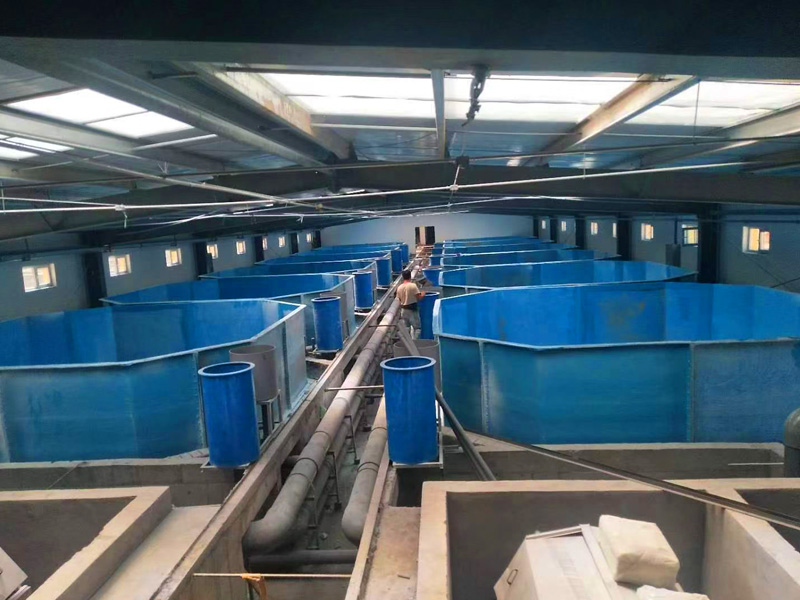 玻璃鋼魚(yú)槽